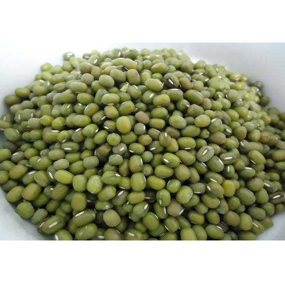 

Hot Sales Kacang Hijau Super 500 gram ㅚ