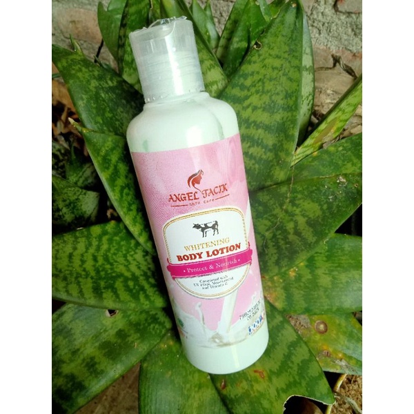 Jual Body Lotion Angel tacik / Handbody Angel tacik / Lotion