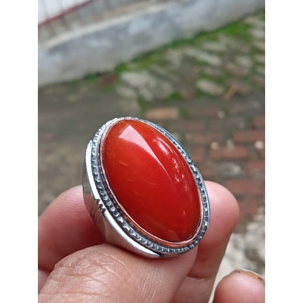 pandan merah ring 7.dim 27*15*10.ring 7