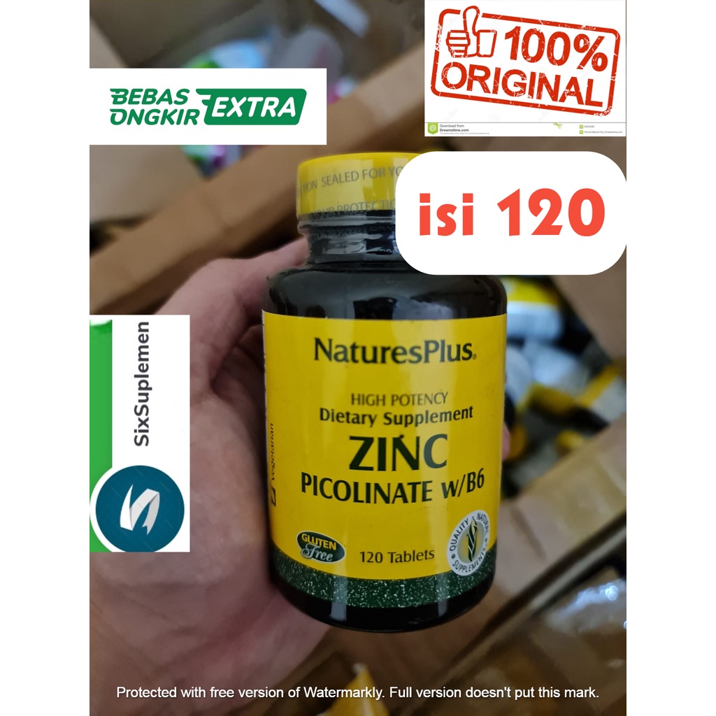 Natures Nature's Plus ZINC PICOLINATE W B6 isi 120 tablet