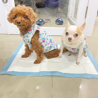 10PCS UNDER PAD ANJING KUCING KELINCI / UNDER PAD M / UNDER PAD UKURAN 45 x 60CM / TOILET ANJING KUC