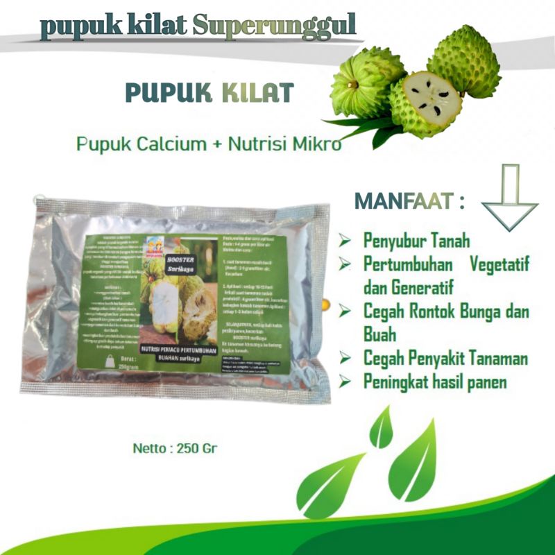 Pupuk Booster Organik Pelebat Buah Srikaya Dan Perangsang Agar Cepat Berbuah