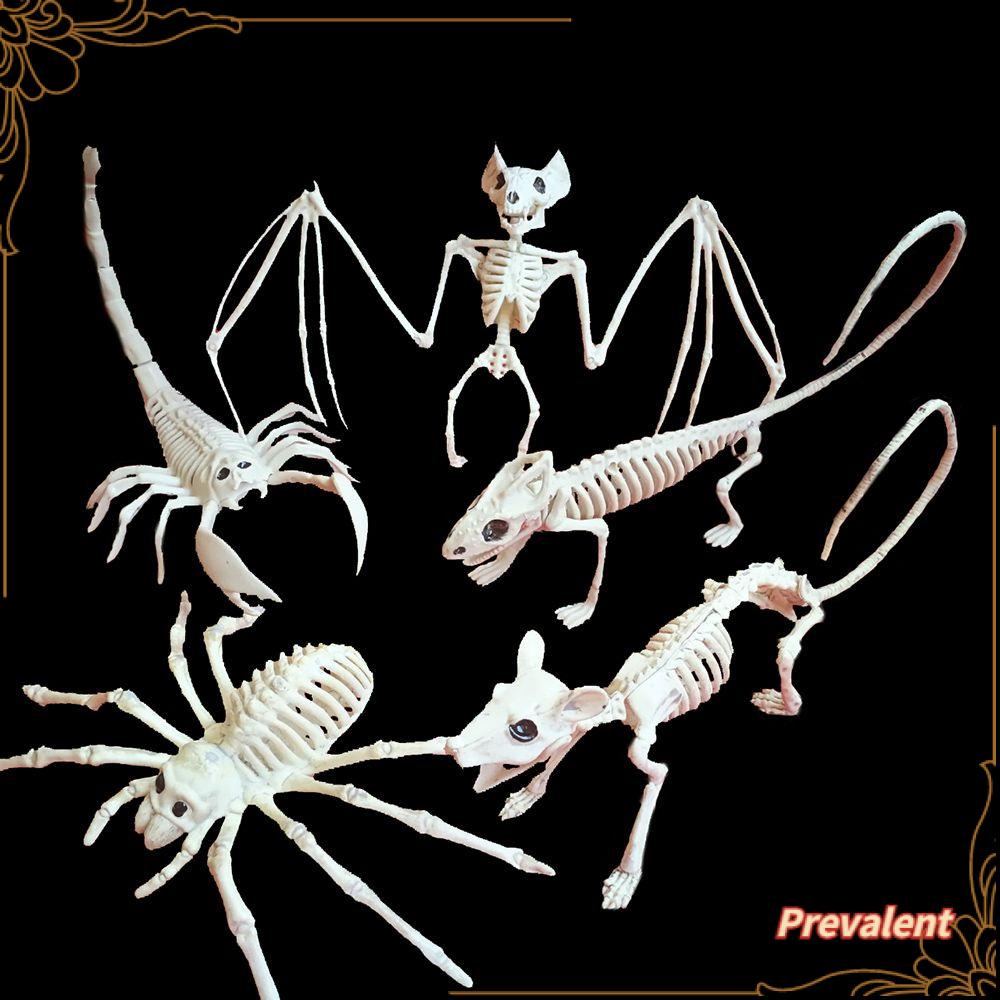 Preva Kerangka Hewan Cicak Spider Halloween Dekorasi Tikus Kelelawar Rumah Tengkorak Buatan