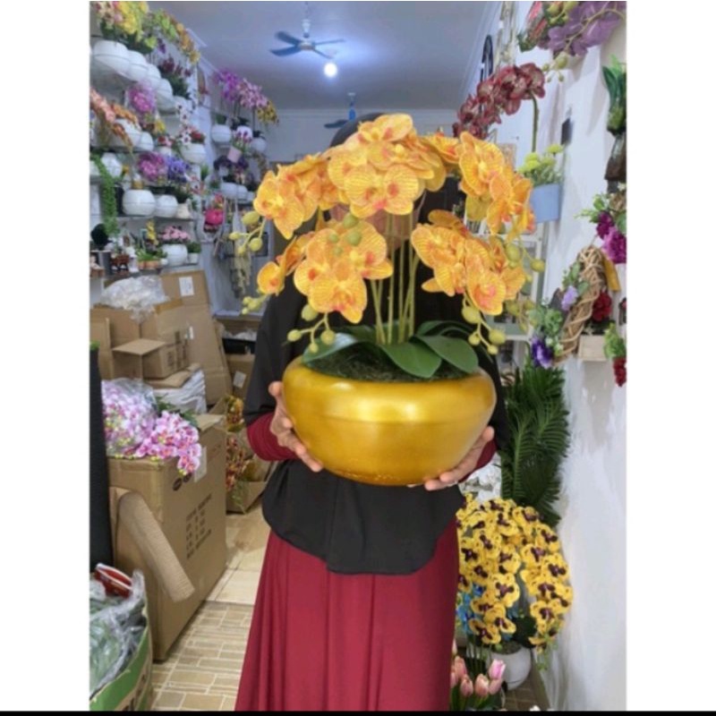 ANGGREK VAS GOLD CABANG  / BUNGA ANGGREK LATEX BEST SELLER