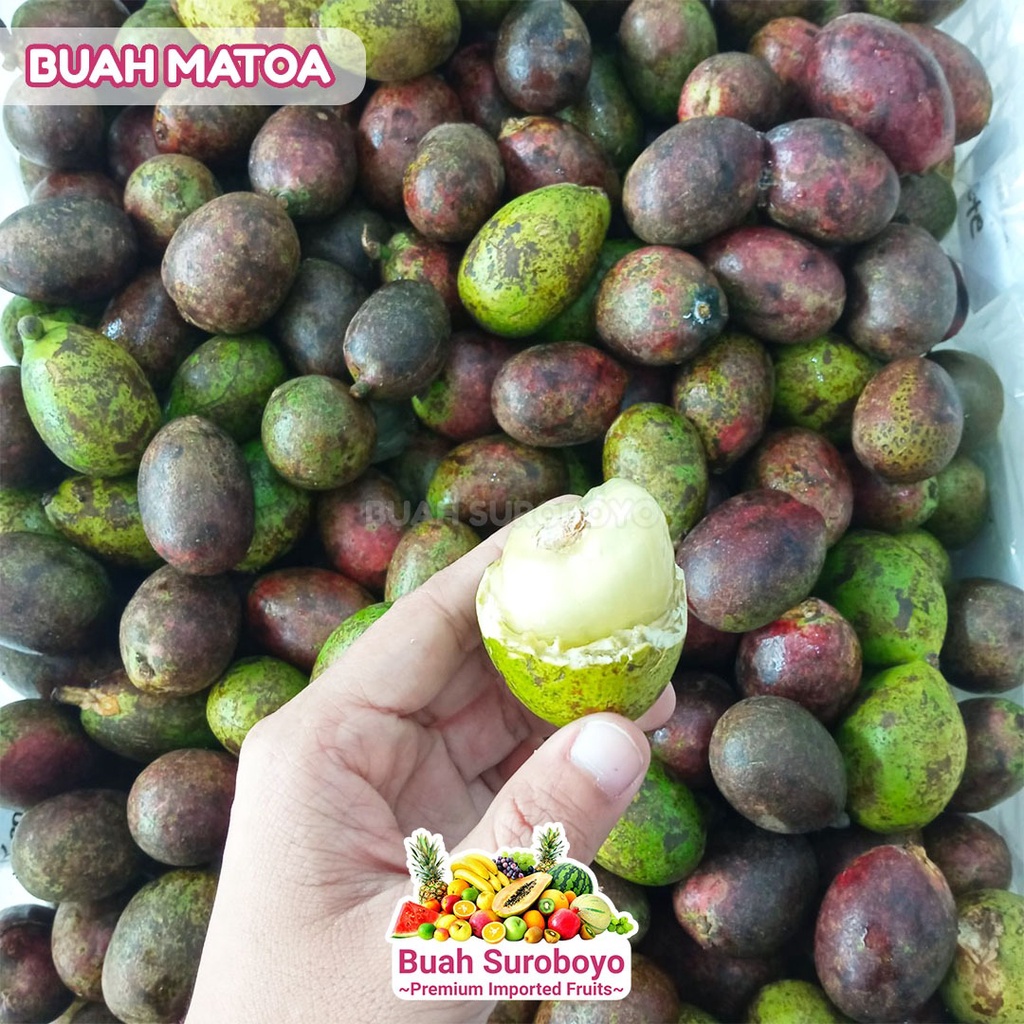 

Buah Matoa dari Papua