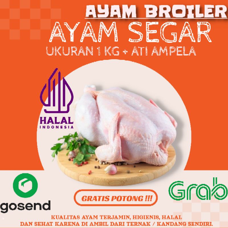 

Ayam potong segar / ayam broiler