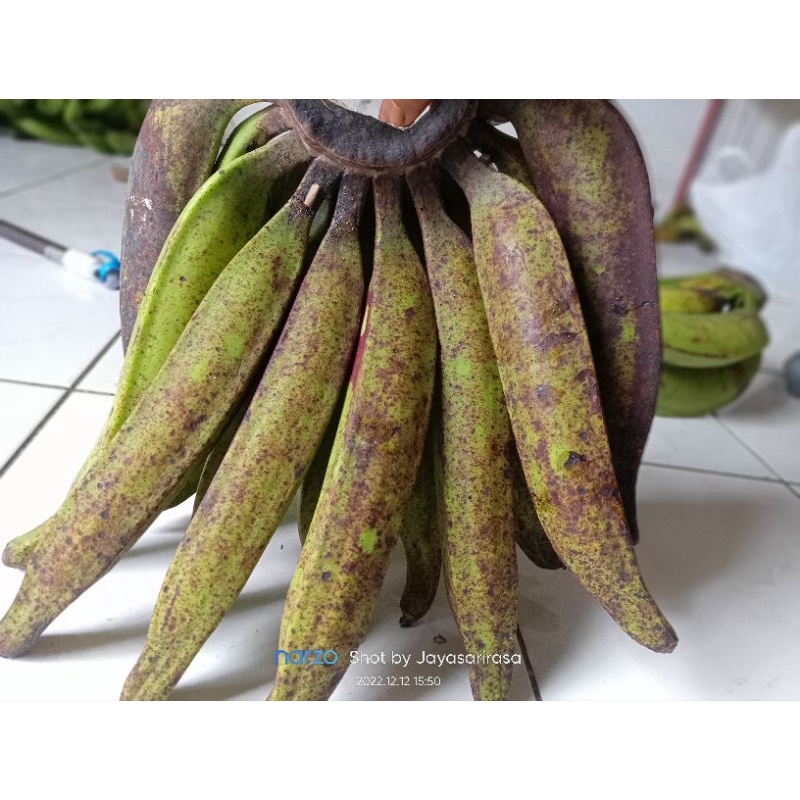 

Pisang Bawen Per Sisir 1Kg