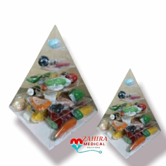 FOOD MODEL PIRAMIDA ISI 50