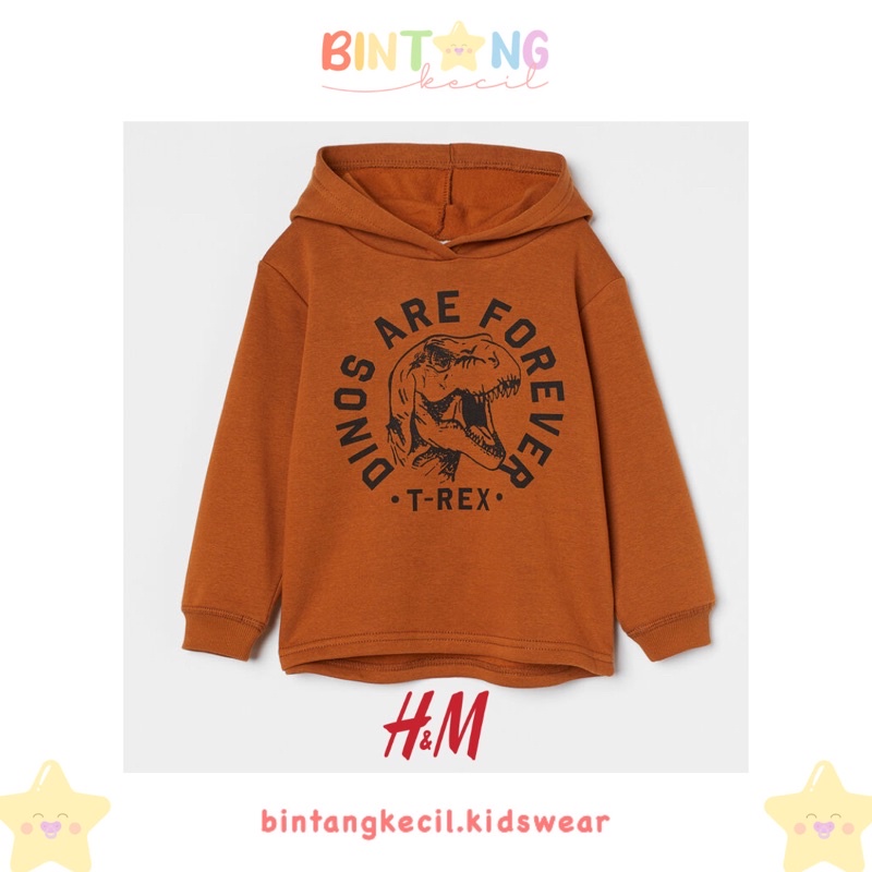 H&M Kids ORIGINAL Hoodie - Brown Dino | HnM HM