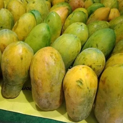 

[Terlaris] Pepaya California Manis 1 Buah