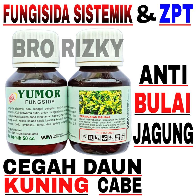 FUNGISIDA SISTEMIK + ZPT - ANTI BULAI JAGUNG - CEGAH DAUN KUNING CABE - YUMOR 50 ML