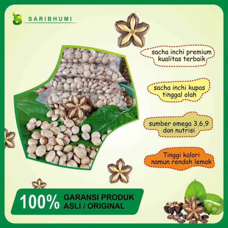 

Sacha inchi mentah kupas biji kacang SACHA INCHI 500g