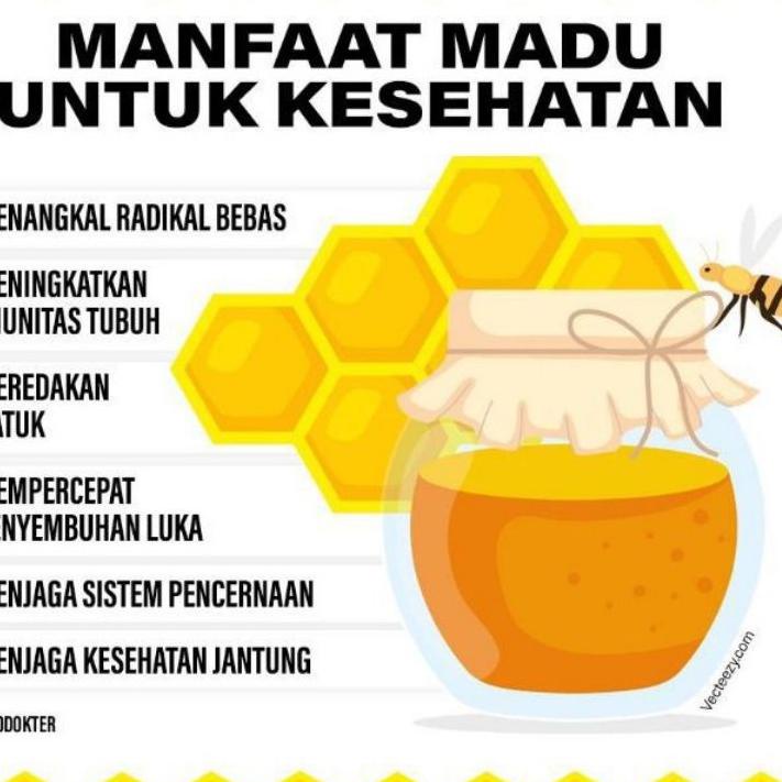 

㊰ Terlaris!!! Sarang Madu Asli Melifera/Cerana ぱ