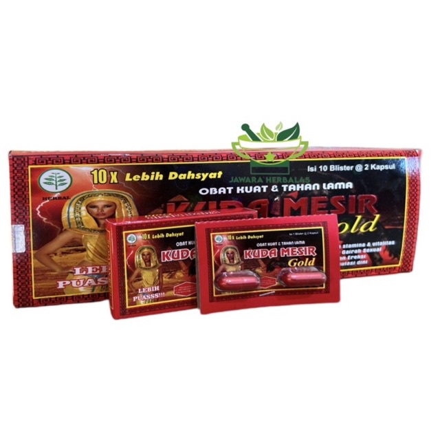 KUDA MESIR GOLD