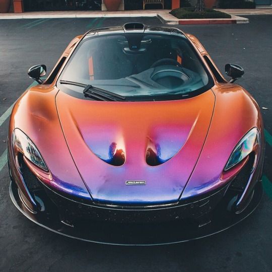 cat bunglon chamelon purple.red