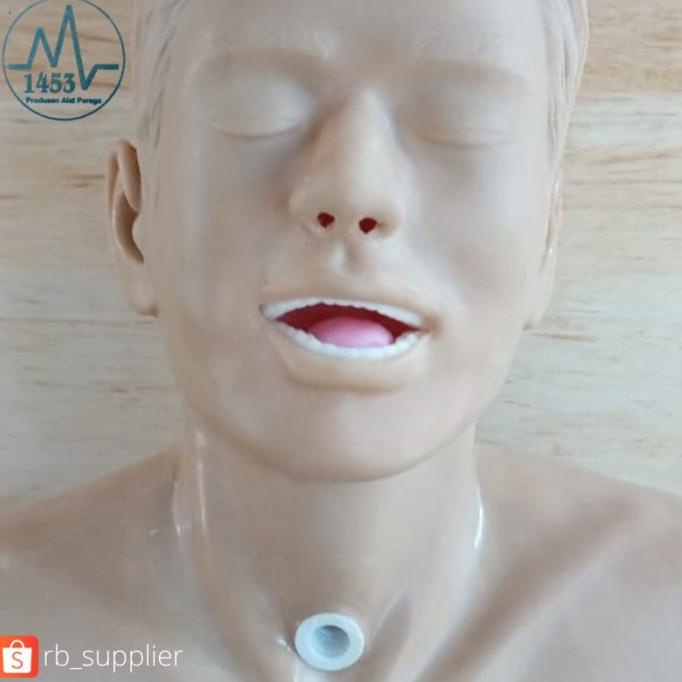 Phantom Manikin Trakeostomi Manekin Trakea - Tracheostomy Limited