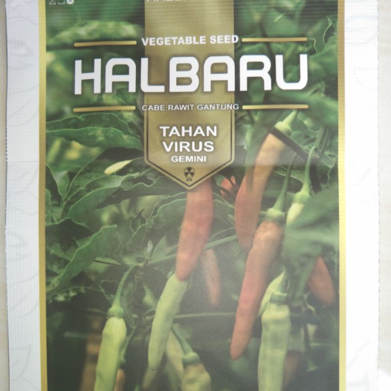 cabe rawit halbaru dari halbanero