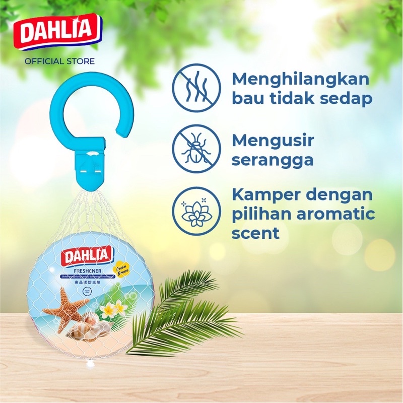 Dahlia gantung k24 (varian Ocean Breeze)