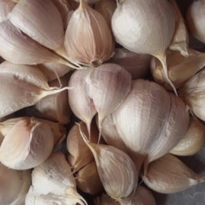 

YYY✱ Bawang Putih Kating / Honan 1kg Trend