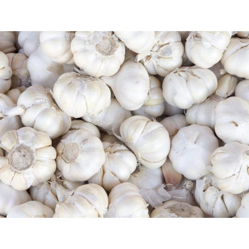 

Bawang putih 500 gram