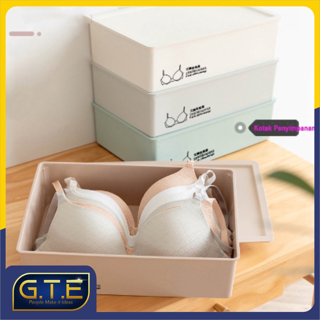 GTE | Kotak Penyimpanan Pakaian Dalam Kaos Kaki Dengan Tutup Underwear Storage Box With Lid