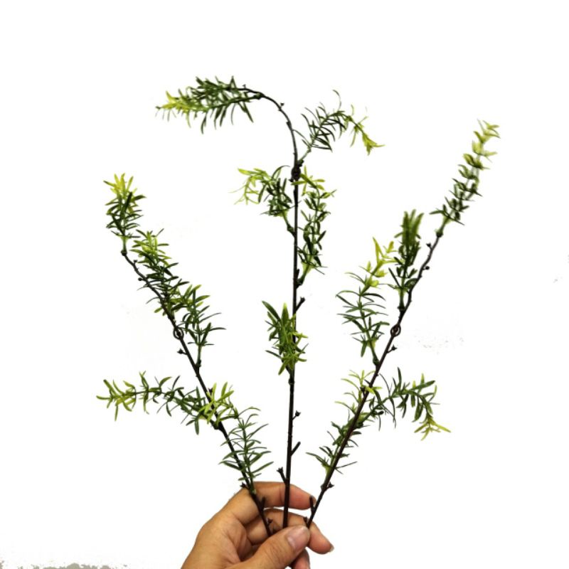 Daun Rosemary Artificial - Daun Ranting - Daun Artificial - Daun Palsu