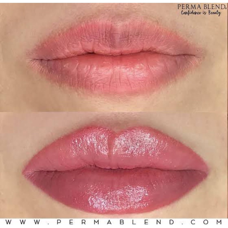 PERMABLEND FRENCH FANCY SULAM BIBIR NEW