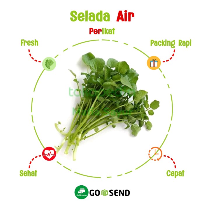 SELADA AIR / WATERCRESS / FRESH VEGETABLE