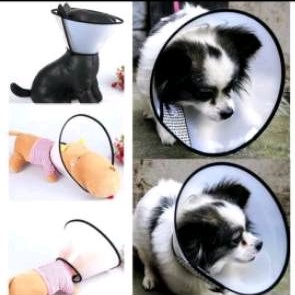 Pet Collar Elizabeth &quot;TRANSPARANT&quot; Corong Penutup Leher Hewan