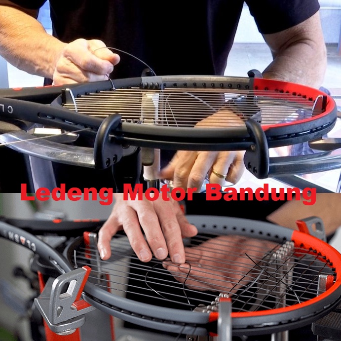 Forten Senar Raket Tenis Omni Spin Tiegut Racket Tennis String