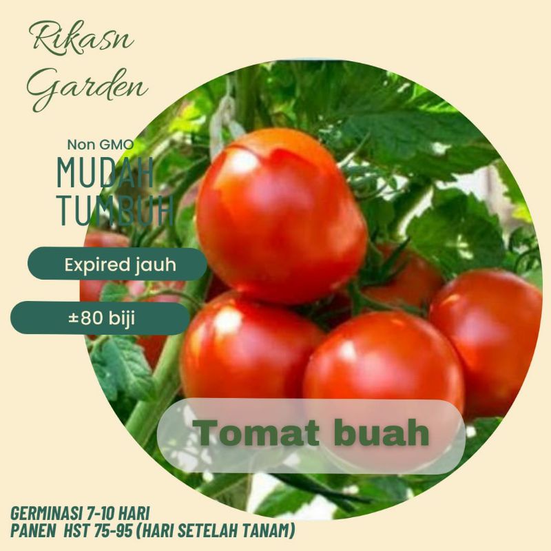 KHUSUS BATAM  benih biji bibit tomat buah