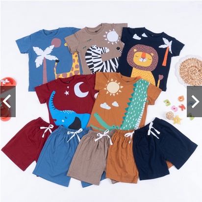 SETELAN ANAK COWOK ANIMAL / SET ANAK LAKI LAKI ANIMAL1-5 THN