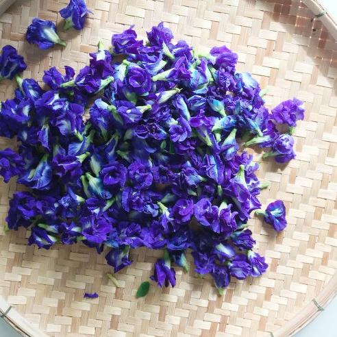 

Hot Item..!!! Bunga Telang Kering Butterfly Tea Teh Seduh Herbal Alami Batuk Asma 10g ヰ