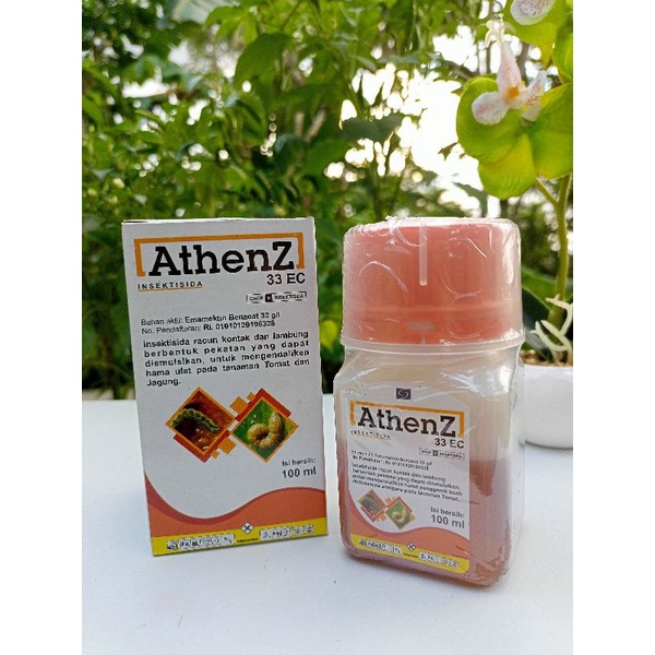 ATHENZ 33EC 100ML