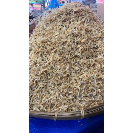 

Udang rebon