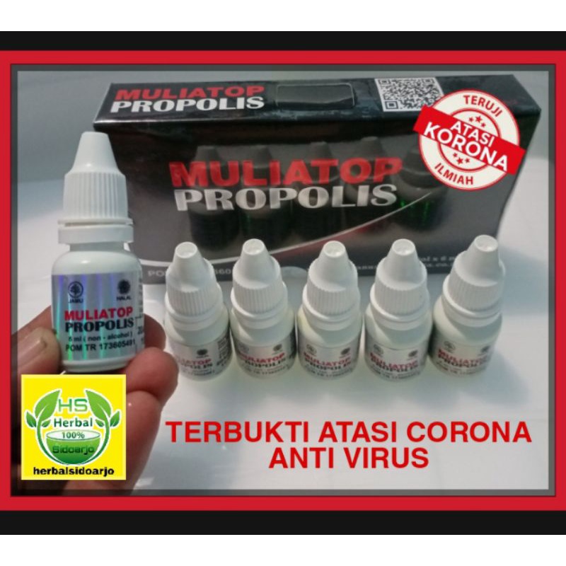 Muliatop Propolis JAMU TETES TOP PROPOLIS isi 10 botol @6ml