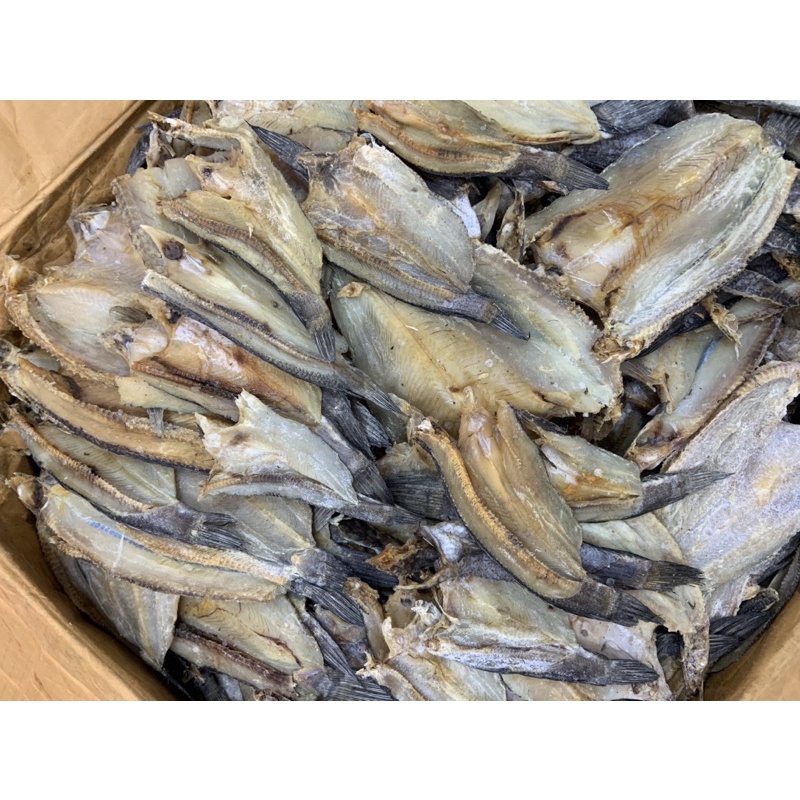 

Ikan Gabus / Ikan Siam/ Rutiang