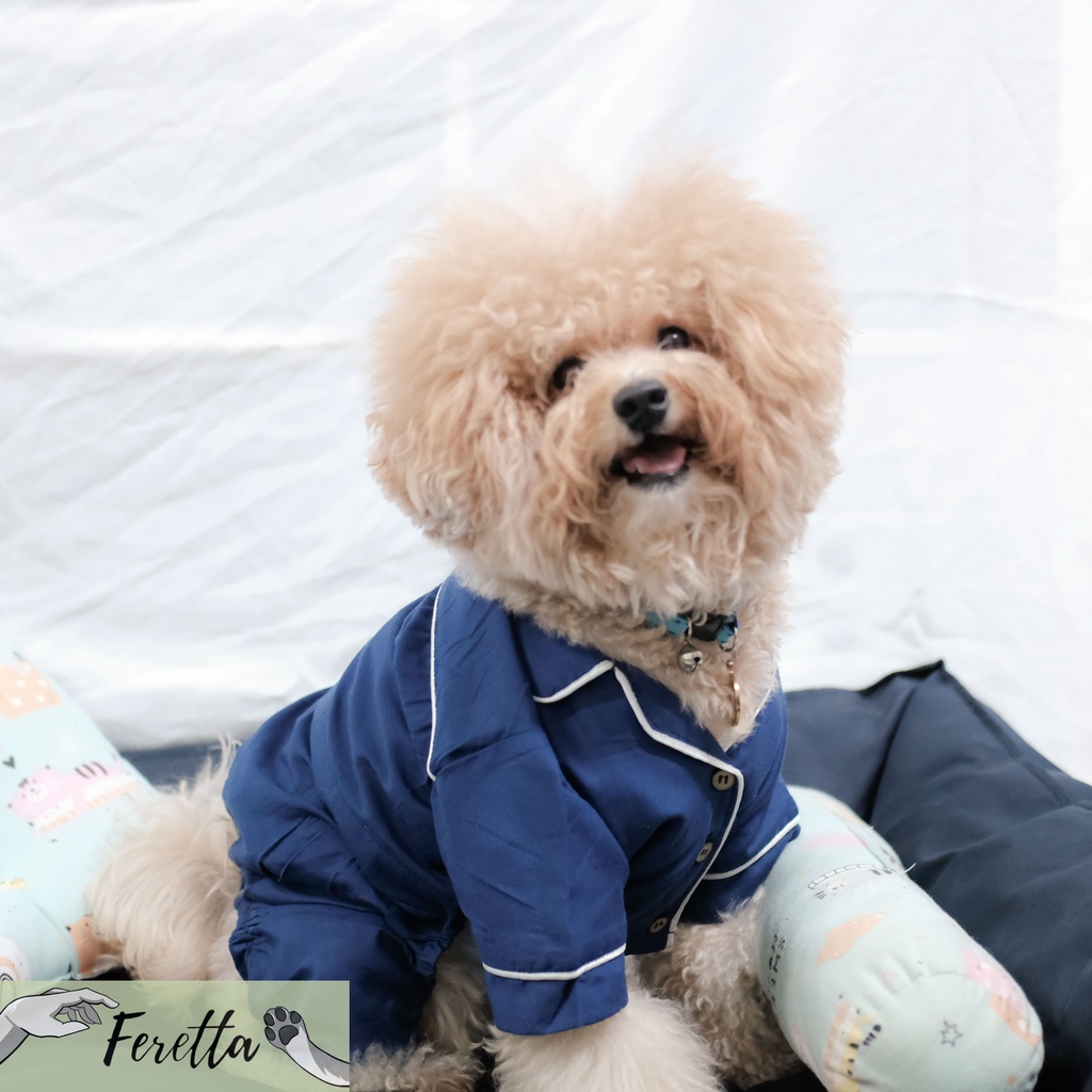 [Feretta] Angelo Blue Pajamas | Baju Tidur Doggy | Baju Tidur Anjing | Piyama Poodle | Piyama Anjing