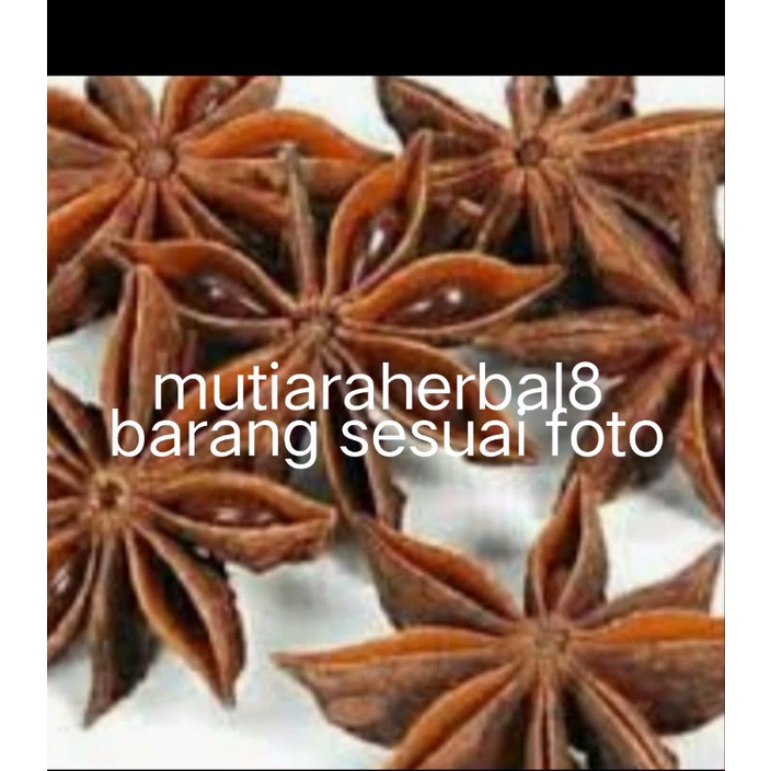 

Kembang Lawang Utuh 50gram / Bunga peka/ peka