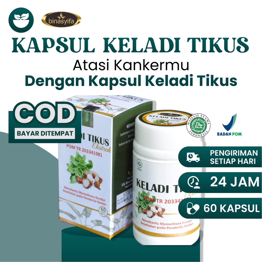 [COD] BPOM KELADI TIKUS Ekstrak Kapsul Obat Kanker Kista Tumor Mioma Obat Kista Miom Mioma Myoma Tan