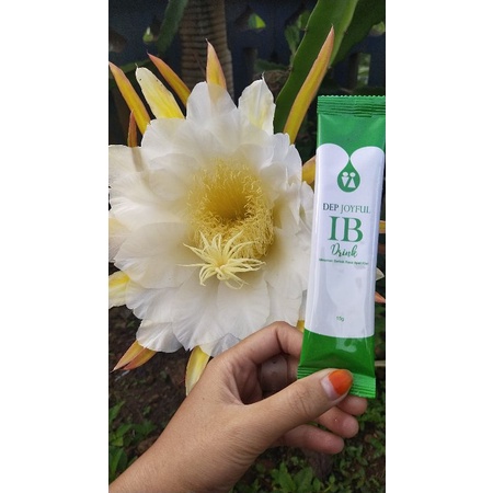 nu amoorea ib drink dijamin asli