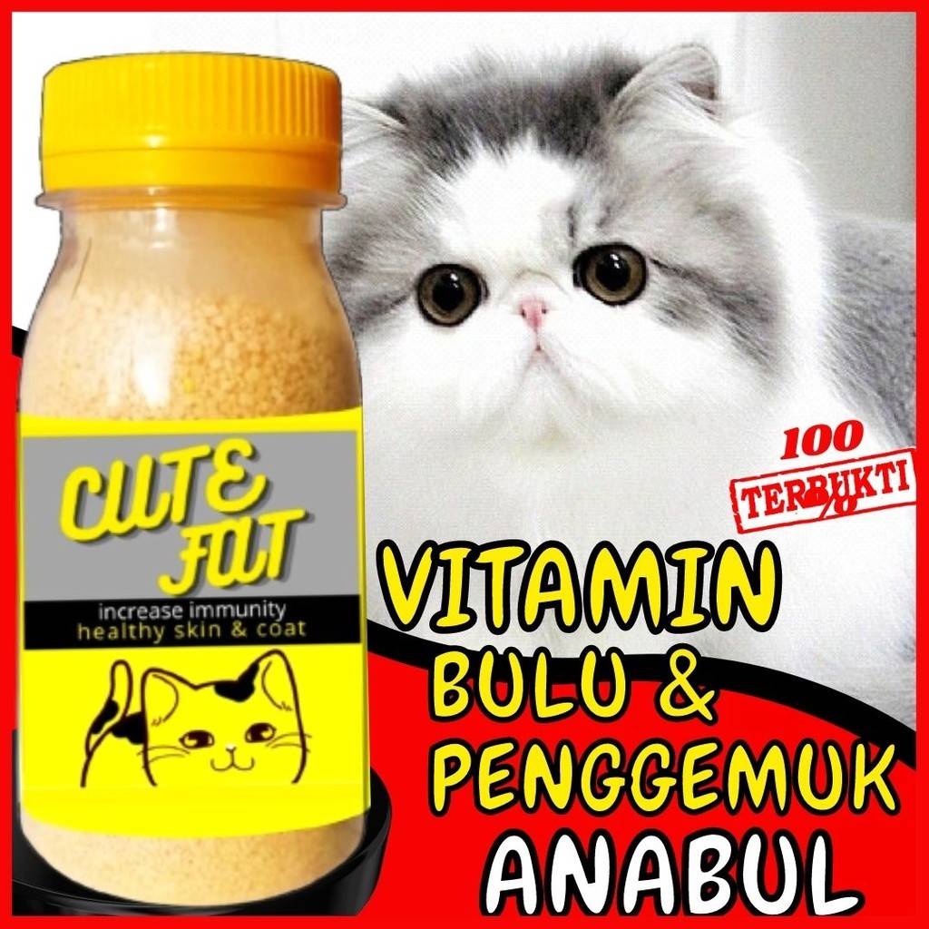 VITAMIN BULU DAN GEMUK Kucing Penambah Nafsu Makan Anjing Obat Penggemuk Untuk Fitamin Anak Cat Kitt