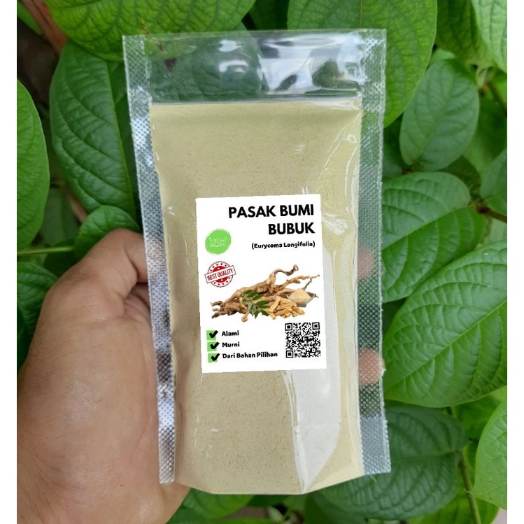 

Serbuk Bubuk Pasak Bumi Murni 50 Gram