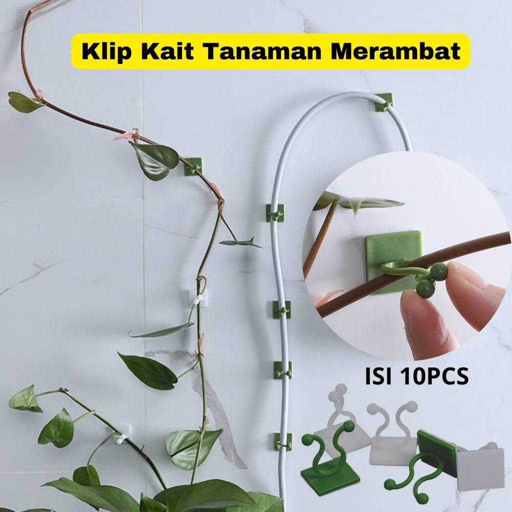 T&amp;Y Klip Kait Tanaman Merambat Isi 10 Pcs Plant Climbing Wall Penjempit Tanaman Klem Kabel Dengan Perekat 3M