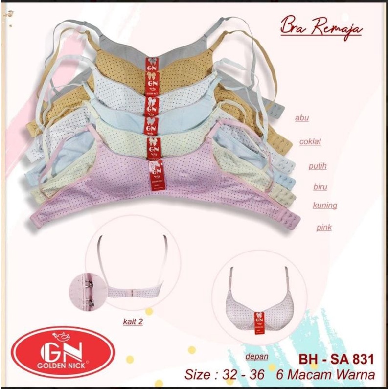 Golden Nick - Bh Remaja Bh Anak Sekolah Bh Pelajar BH PUTIH Bh Katun Kait 2 BH SA 831