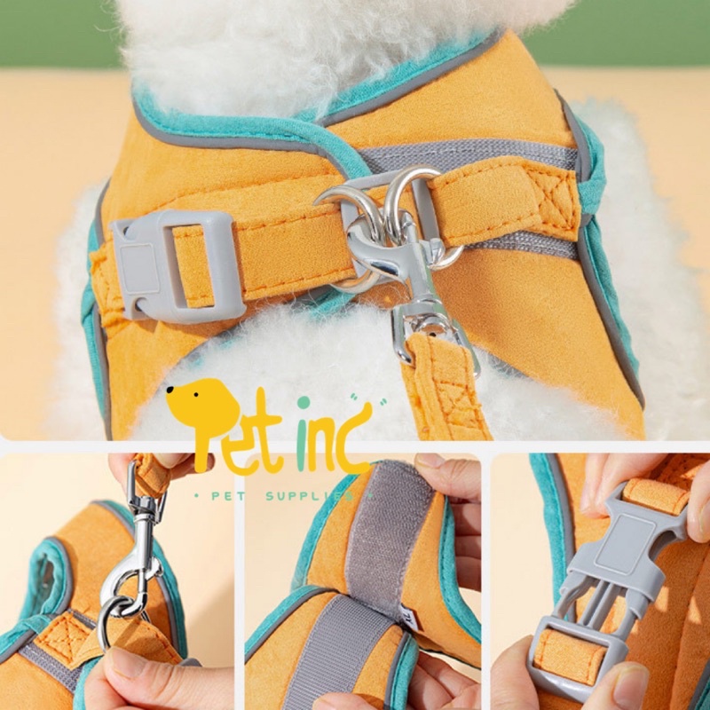 ARC EN CIEL HIPIDOG PET HARNESS SET