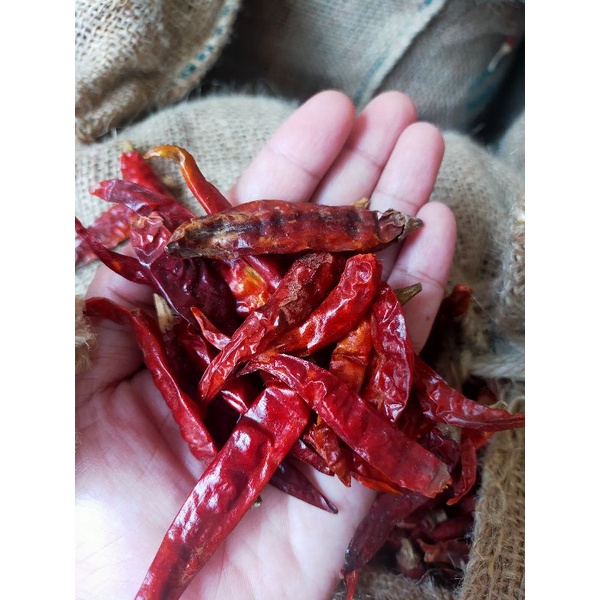 

Cabe kering Teja super 1 kg.cabe India