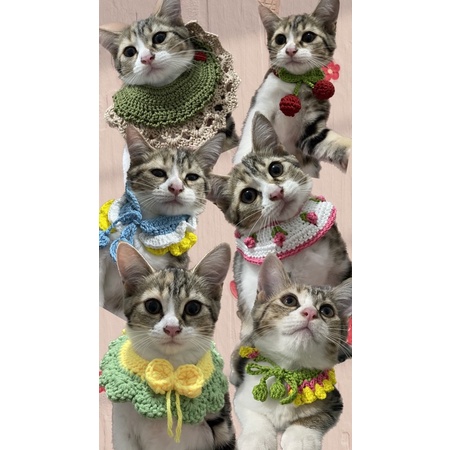 Pet Collar / kalung kucing anjing rajut/ kalung hewan rajut / crochet collar pet