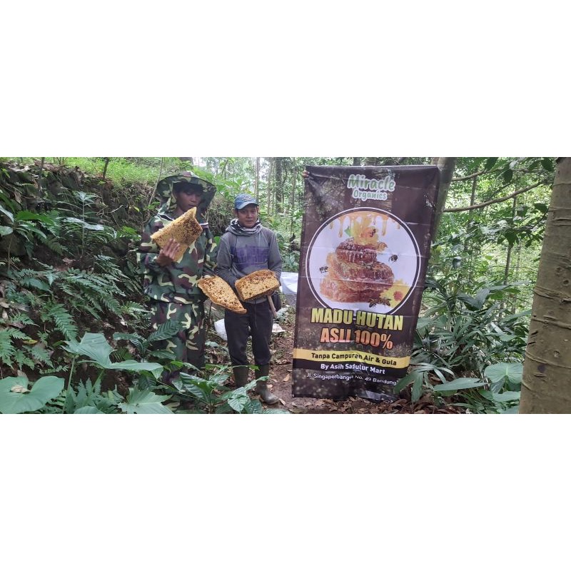 Madu Hutan Asli Super 330ml Promo Bandung