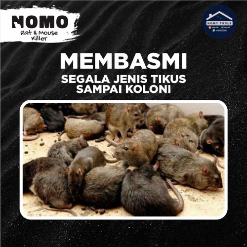 Racun Tikus, Nomo Pengusir Tikus, Pembasmi Tikus, Racun Tikus Tidak Bau
